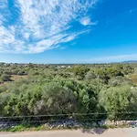 Garlanda 1